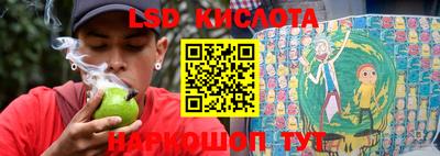 ПСИЛОЦИБИНОВЫЕ ГРИБЫ Коммунар